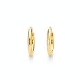 Gold Hoop Earrings — Polished product photo